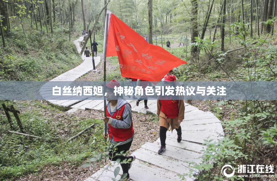 白丝纳西妲，神秘角色引发热议与关注