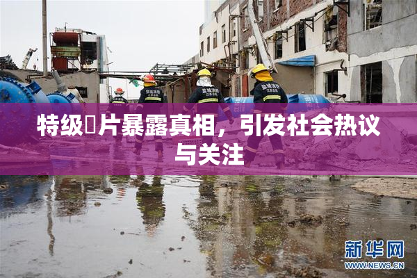 特级婬片暴露真相，引发社会热议与关注