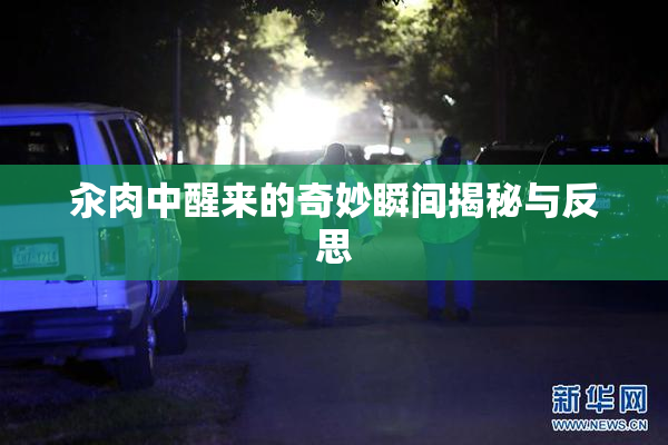 汆肉中醒来的奇妙瞬间揭秘与反思