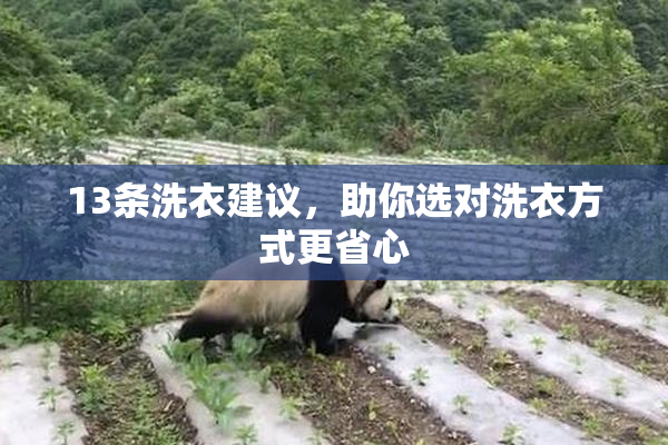13条洗衣建议，助你选对洗衣方式更省心