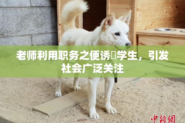 老师利用职务之便诱奷学生，引发社会广泛关注