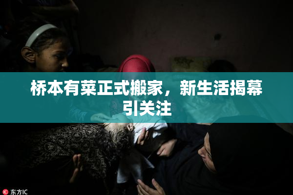 桥本有菜正式搬家，新生活揭幕引关注