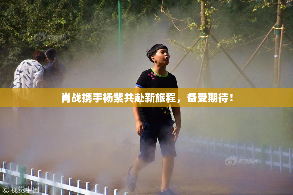 肖战携手杨紫共赴新旅程，备受期待！