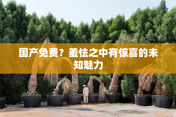 国产免费？羞怯之中有惊喜的未知魅力