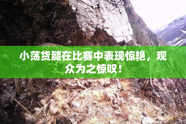 小荡货腿在比赛中表现惊艳，观众为之惊叹！