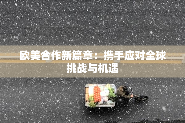 欧美合作新篇章：携手应对全球挑战与机遇