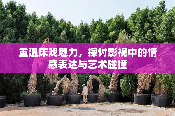 重温床戏魅力，探讨影视中的情感表达与艺术碰撞