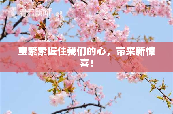 宝紧紧握住我们的心，带来新惊喜！