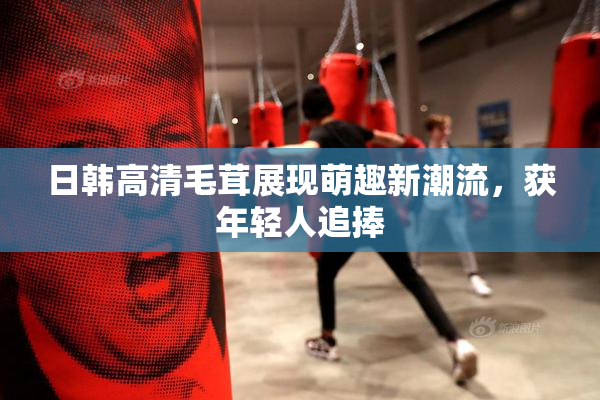 日韩高清毛茸展现萌趣新潮流，获年轻人追捧