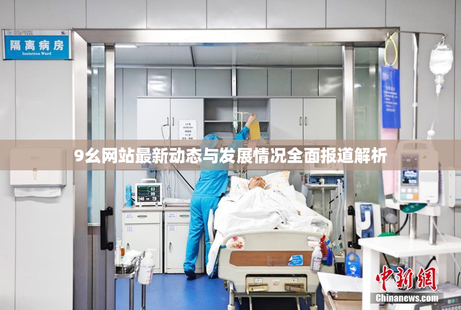 9幺网站最新动态与发展情况全面报道解析