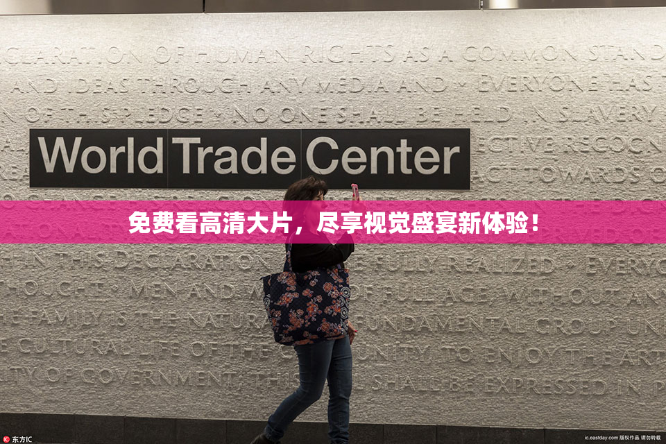免费看高清大片，尽享视觉盛宴新体验！