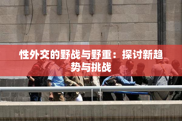 性外交的野战与野重：探讨新趋势与挑战