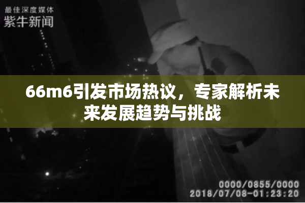 66m6引发市场热议，专家解析未来发展趋势与挑战