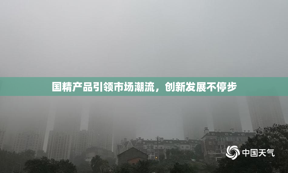 国精产品引领市场潮流，创新发展不停步