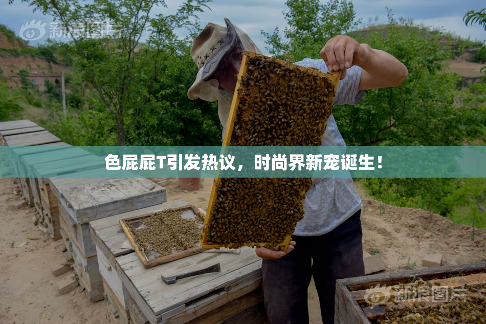 色屁屁T引发热议，时尚界新宠诞生！