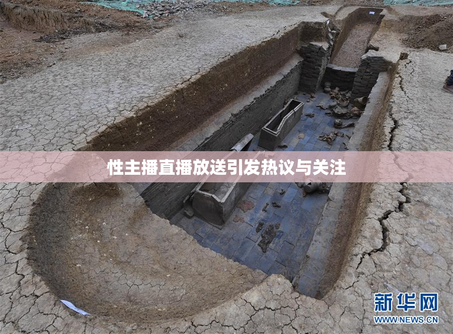 性主播直播放送引发热议与关注