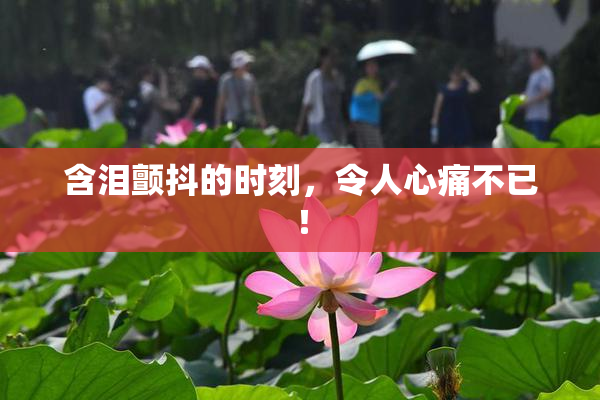 含泪颤抖的时刻，令人心痛不已！