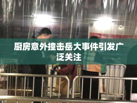 厨房意外撞击岳大事件引发广泛关注