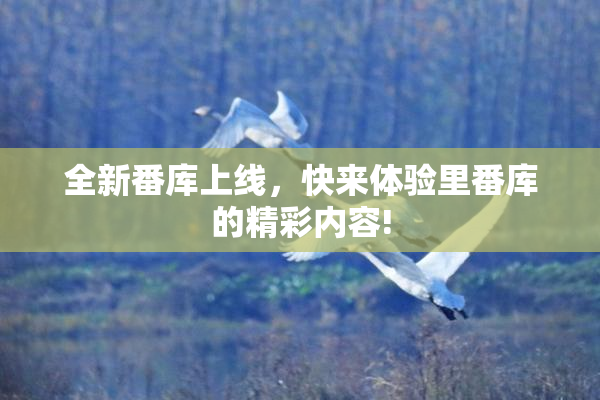 全新番库上线，快来体验里番库的精彩内容!
