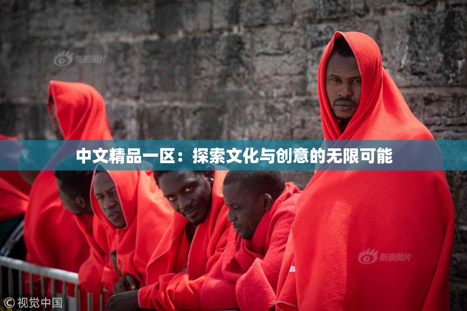 中文精品一区：探索文化与创意的无限可能