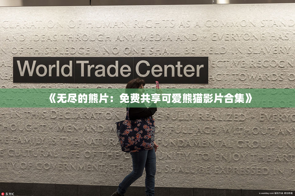 《无尽的熊片：免费共享可爱熊猫影片合集》
