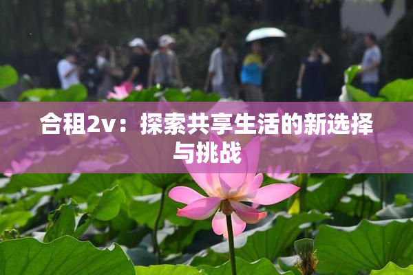 合租2v：探索共享生活的新选择与挑战