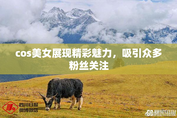 cos美女展现精彩魅力，吸引众多粉丝关注