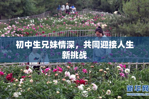 初中生兄妹情深，共同迎接人生新挑战