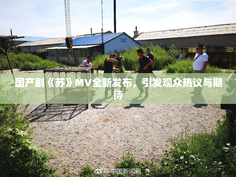 国产剧《苏》MV全新发布，引发观众热议与期待