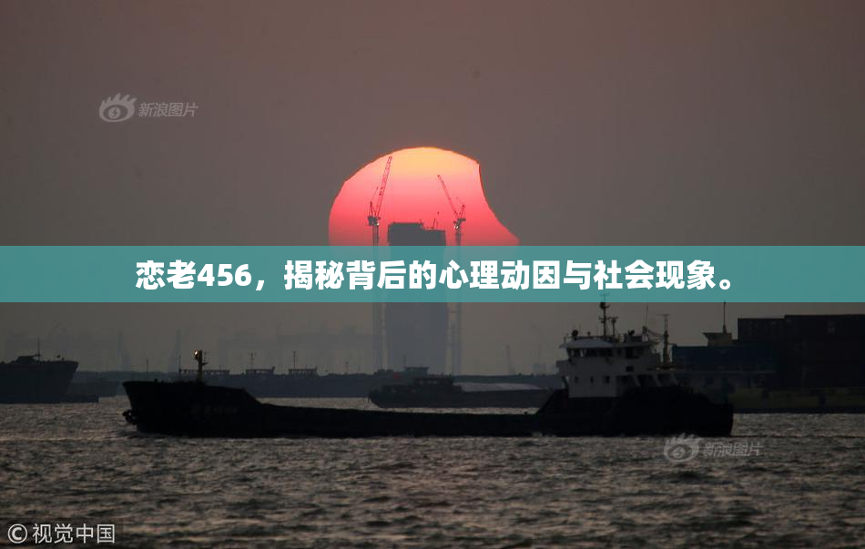 恋老456，揭秘背后的心理动因与社会现象。