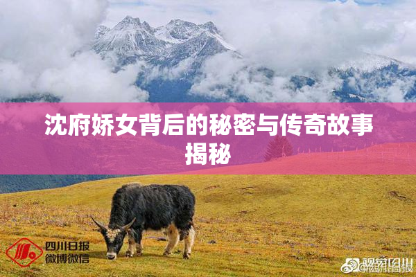 沈府娇女背后的秘密与传奇故事揭秘