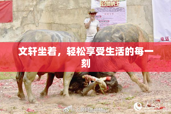文轩坐着，轻松享受生活的每一刻