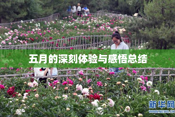 五月的深刻体验与感悟总结