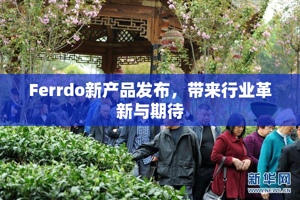 Ferrdo新产品发布，带来行业革新与期待