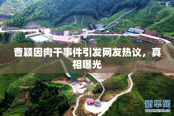 曹颖因肉干事件引发网友热议，真相曝光