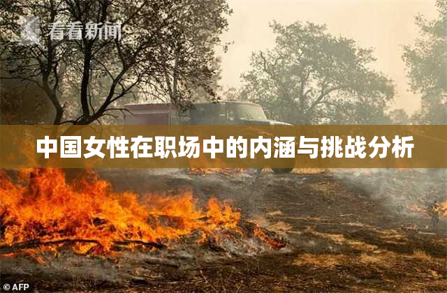 中国女性在职场中的内涵与挑战分析