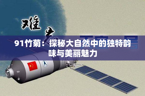 91竹菊：探秘大自然中的独特韵味与美丽魅力
