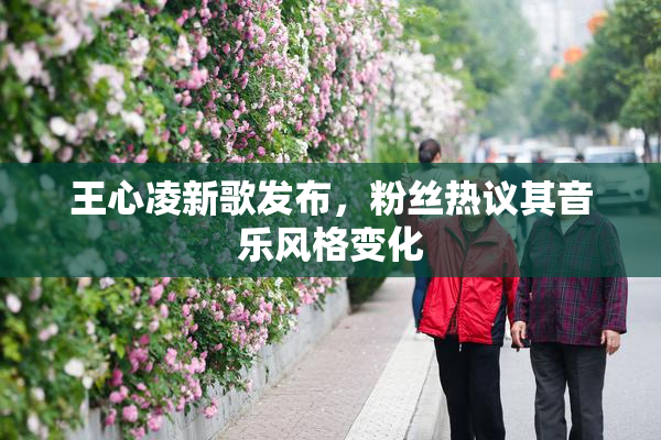 王心凌新歌发布，粉丝热议其音乐风格变化