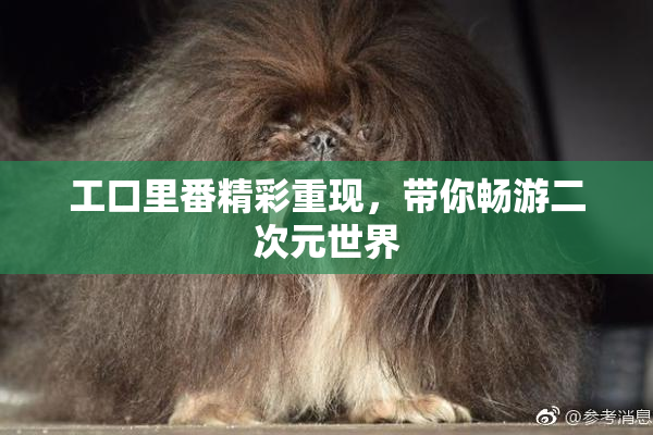 工口里番精彩重现，带你畅游二次元世界