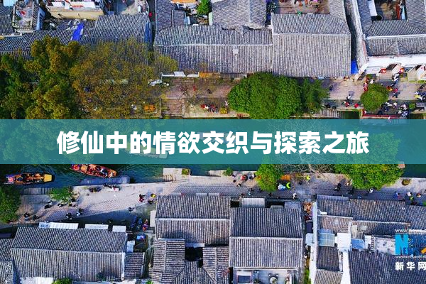 修仙中的情欲交织与探索之旅