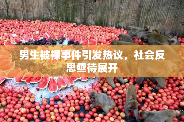 男生被裸事件引发热议，社会反思亟待展开