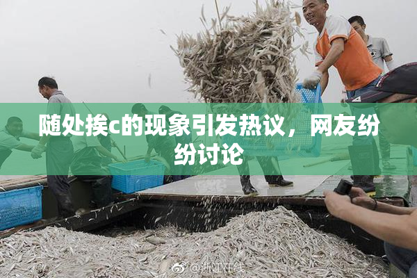 随处挨c的现象引发热议，网友纷纷讨论