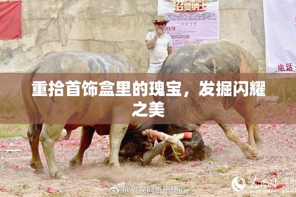 重拾首饰盒里的瑰宝，发掘闪耀之美