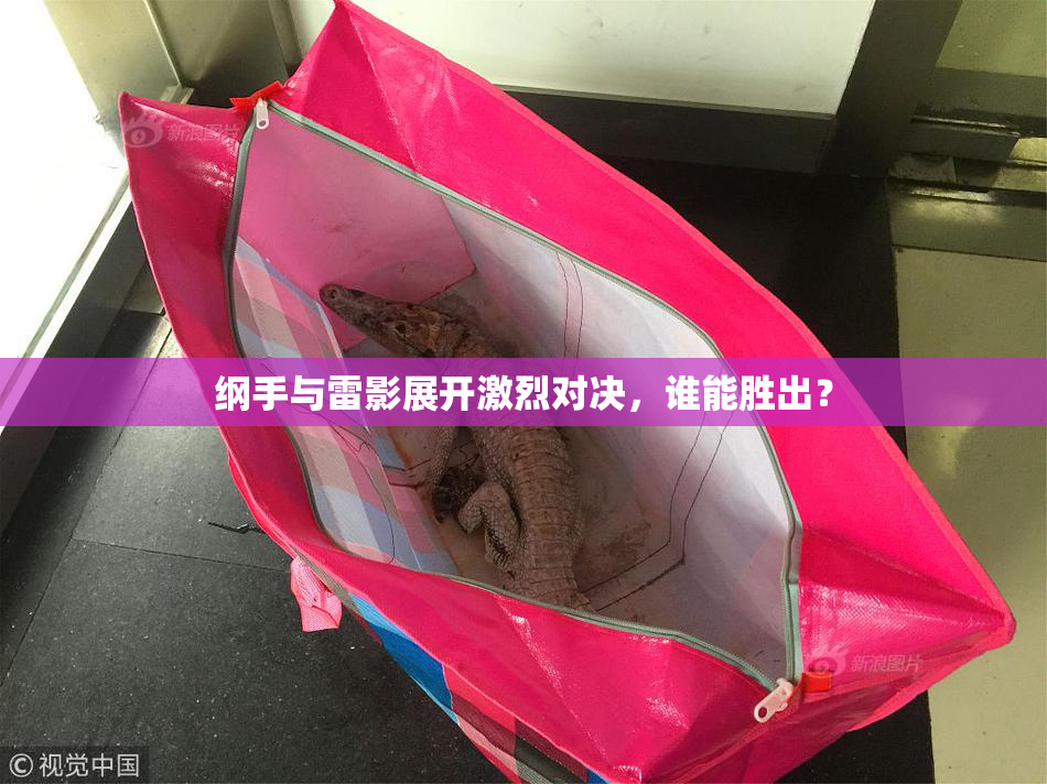 纲手与雷影展开激烈对决，谁能胜出？