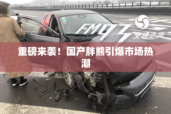 重磅来袭！国产胖熊引爆市场热潮