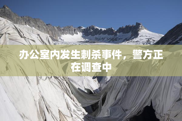 办公室内发生刺杀事件，警方正在调查中