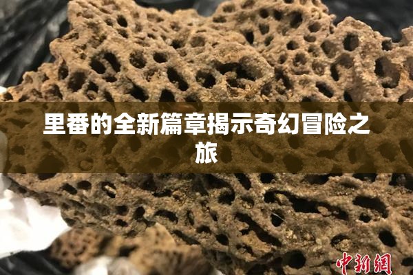 里番的全新篇章揭示奇幻冒险之旅