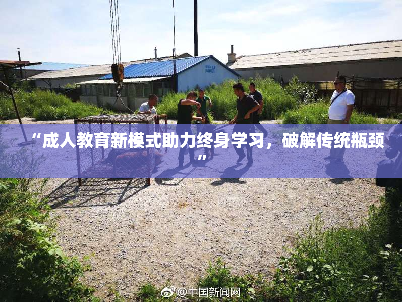 “成人教育新模式助力终身学习，破解传统瓶颈”
