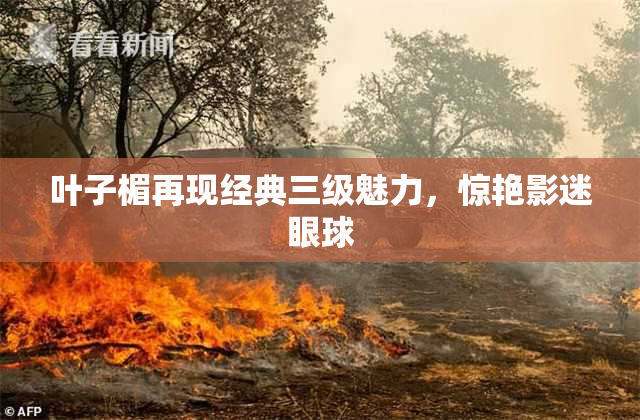 叶子楣再现经典三级魅力，惊艳影迷眼球
