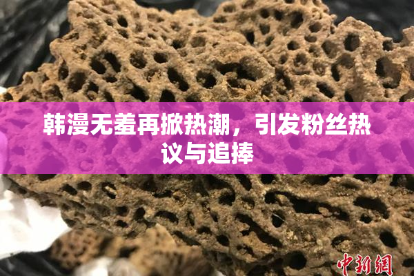 韩漫无羞再掀热潮，引发粉丝热议与追捧